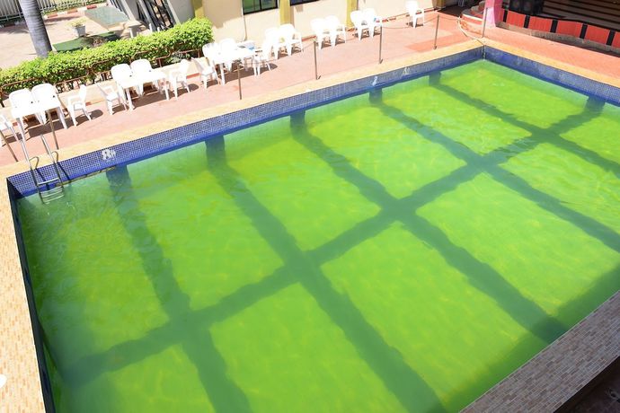 Imagen de la piscina del Hotel De\' Nevilla. Foto 20