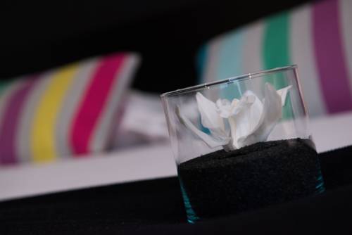 Imagen de la habitación del Hotel De Noailles. Foto 14