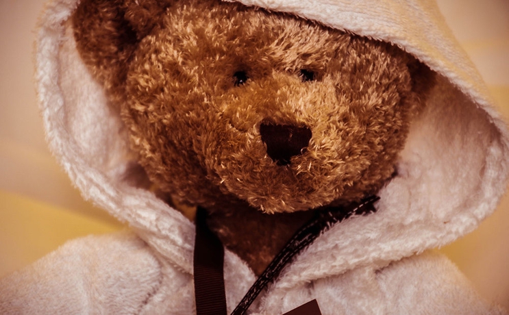 Imagen de los interiores del Hotel De Orangerie. Foto 14