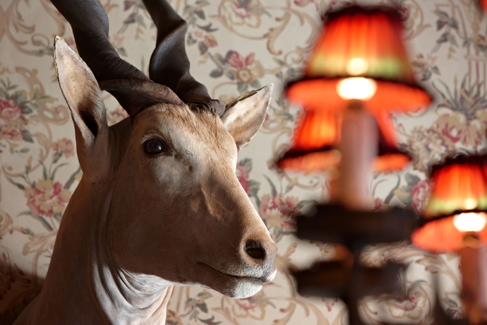 Imagen de los exteriores del Hotel De Orangerie. Foto 6