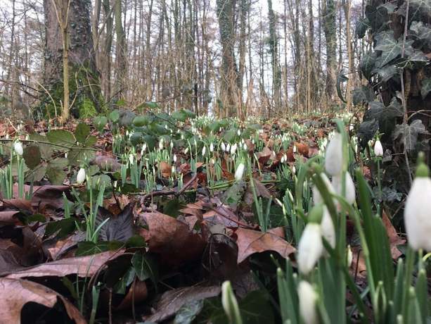 Imagen general del Hotel De Pupiter. Foto 5