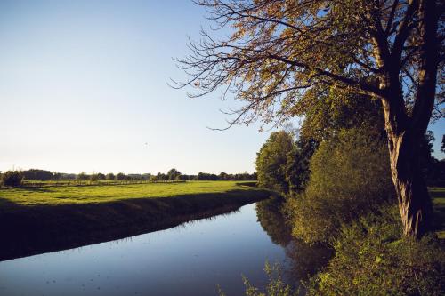 Imagen de la habitación del Hotel De Ruwenberg- Sint Michielsgestel. Foto 6