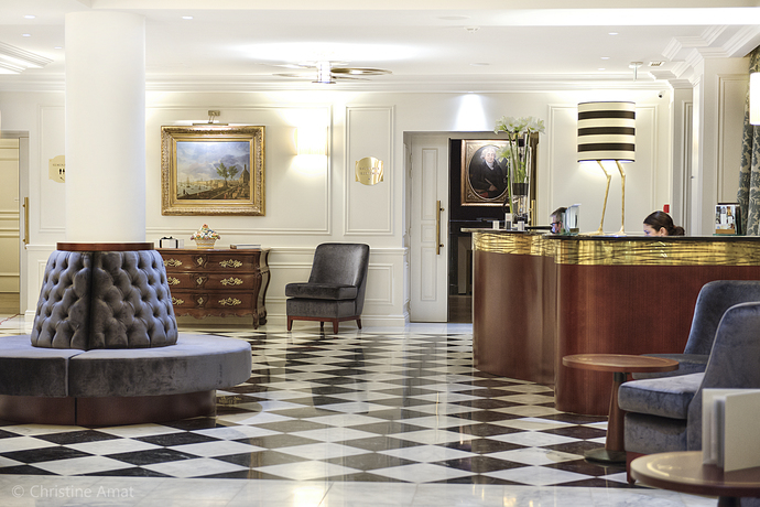 Imagen de los interiores del Hotel De Sèze, Burdeos. Foto 4