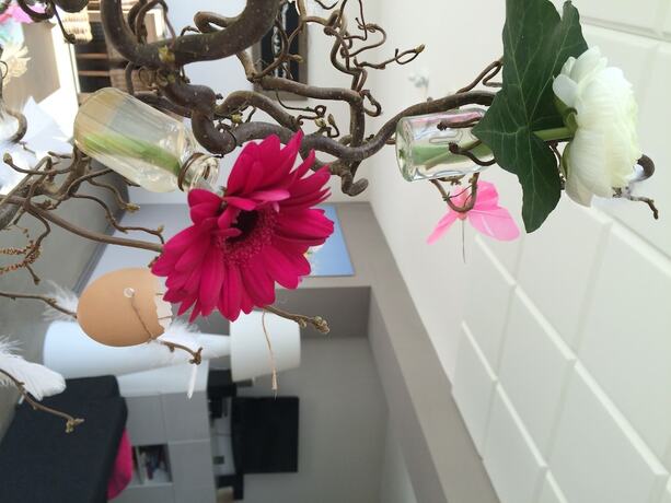 Imagen general del Hotel De Slaapfabriek. Foto 9