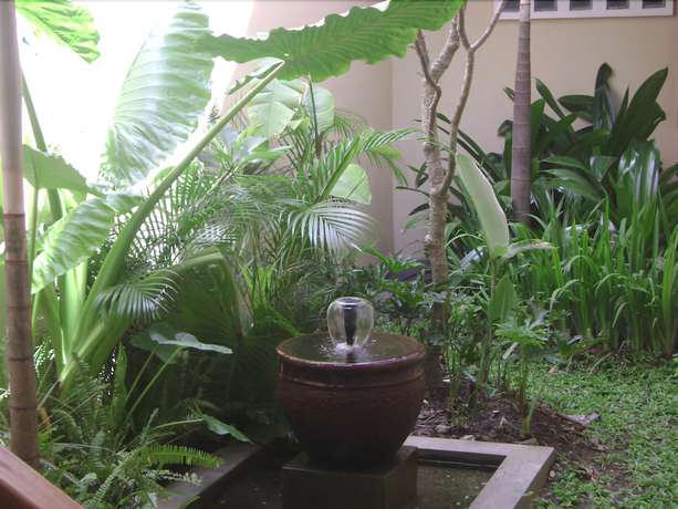Imagen de los exteriores del Hotel De Solo Boutique. Foto 15