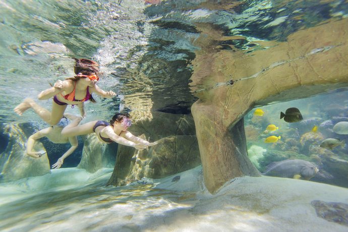 Imagen de la piscina del Hotel De Vossemeren By Center Parcs. Foto 16