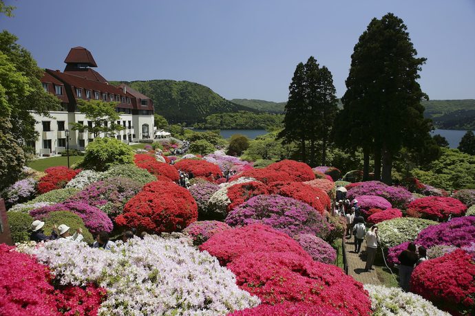 Imagen general del Hotel De Yama, Hakone Lake Side. Foto 1