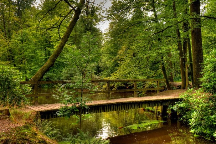 Imagen de los exteriores del Hotel De Zwaan Delden. Foto 4