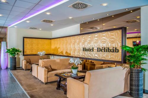 Imagen general del Hotel D&eacute;lib&aacute;b. Foto 3
