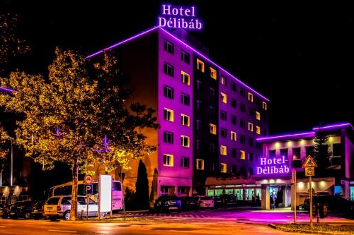 Imagen general del Hotel D&eacute;lib&aacute;b. Foto 5