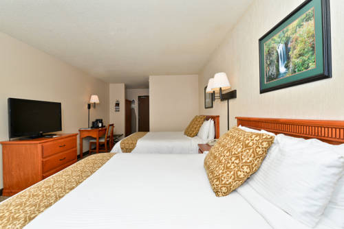 Imagen de la habitación del Hotel Deadwood Gulch Resort, Trademark Collection by Wyndham. Foto 3