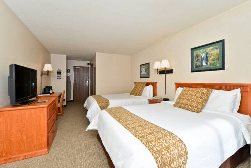 Imagen de la habitación del Hotel Deadwood Gulch Resort, Trademark Collection by Wyndham. Foto 7