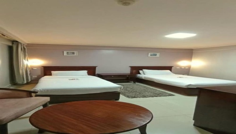 Imagen general del Hotel Decale Palace. Foto 10