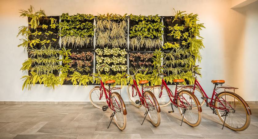 Imagen general del Hotel Decameron Isla Coral. Foto 2