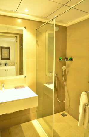Imagen general del Hotel Deccan Serai. Foto 14