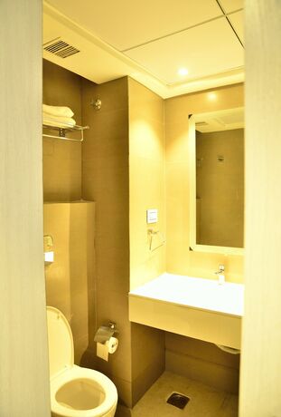 Imagen general del Hotel Deccan Serai. Foto 16
