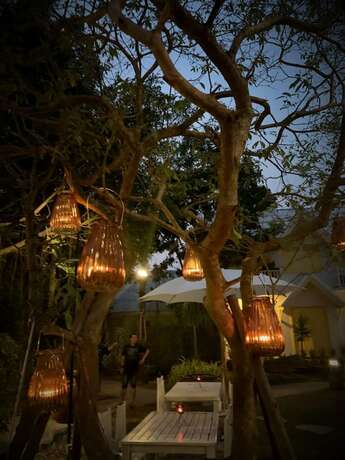 Imagen del bar/restaurante del Hotel December Villasandspa. Foto 12