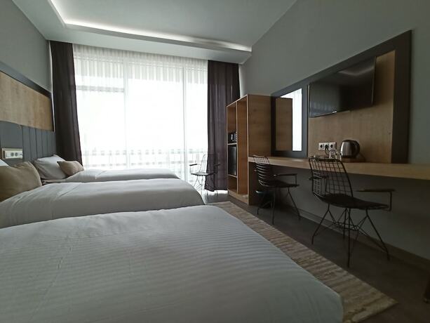 Imagen general del Hotel Dedem Express-Istanbul Airport. Foto 3