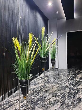 Imagen general del Hotel Dedem Express-Istanbul Airport. Foto 4