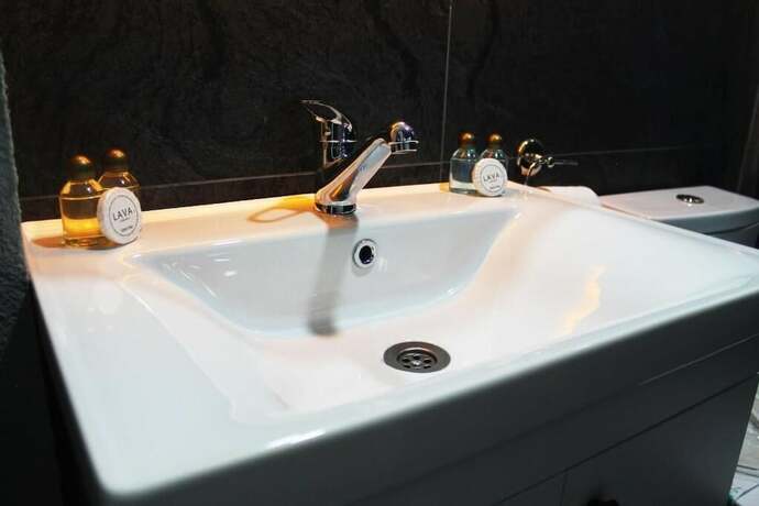 Imagen general del Hotel Dedem Express-Istanbul Airport. Foto 6