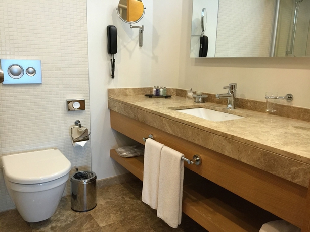 Imagen de la habitación del Hotel Dedeman Istanbul. Foto 8