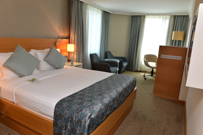 Imagen de la habitación del Hotel Dedeman Istanbul. Foto 14