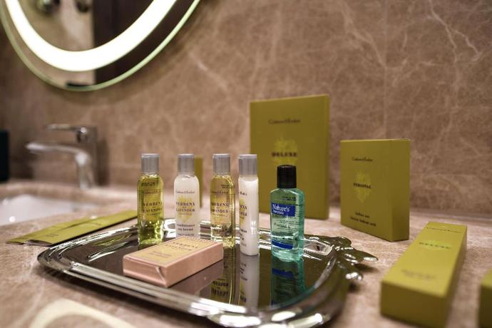 Imagen de la habitación del Hotel Dedeman Kartepe. Foto 5