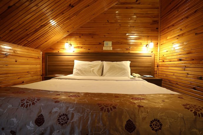 Imagen de la habitación del Hotel Dedeman Palandoken Resort. Foto 16