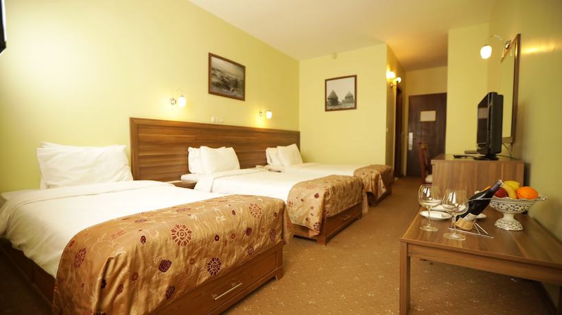 Imagen de la habitación del Hotel Dedeman Palandoken Resort. Foto 17