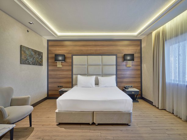 Imagen de la habitación del Hotel Dedeman Sanliurfa. Foto 10