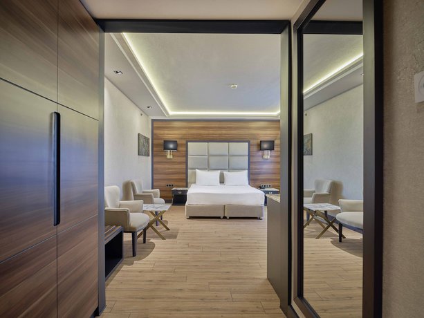 Imagen de la habitación del Hotel Dedeman Sanliurfa. Foto 17