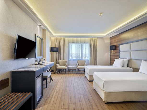 Imagen de la habitación del Hotel Dedeman Sanliurfa. Foto 18