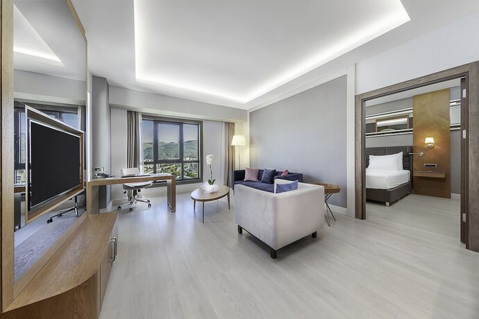 Imagen general del Hotel Dedeman Tokat. Foto 6