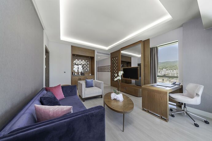 Imagen general del Hotel Dedeman Tokat. Foto 9
