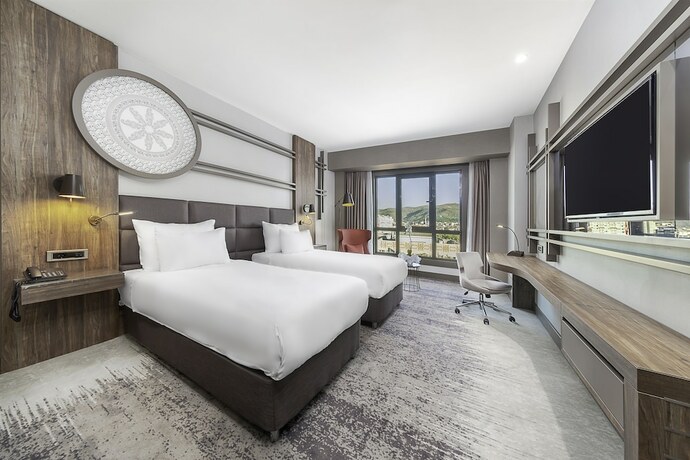 Imagen general del Hotel Dedeman Tokat. Foto 11