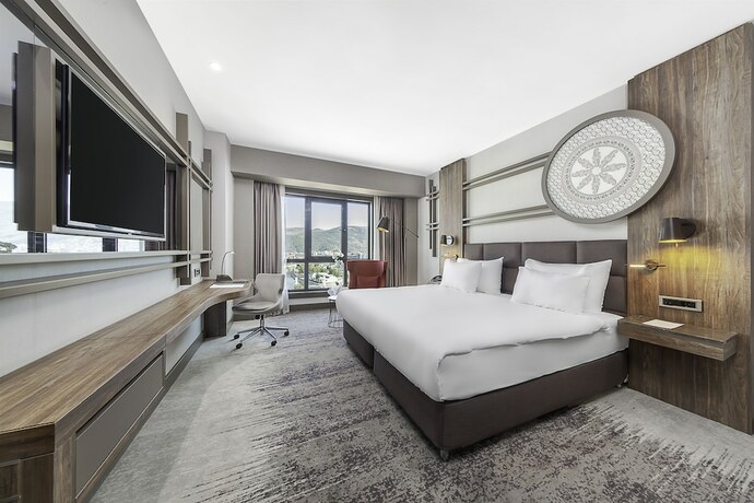 Imagen de la habitación del Hotel Dedeman Tokat. Foto 14