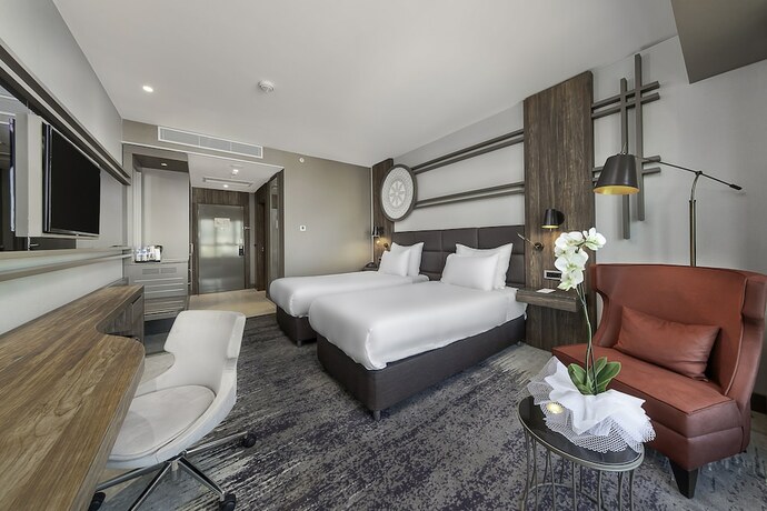 Imagen de la habitación del Hotel Dedeman Tokat. Foto 15