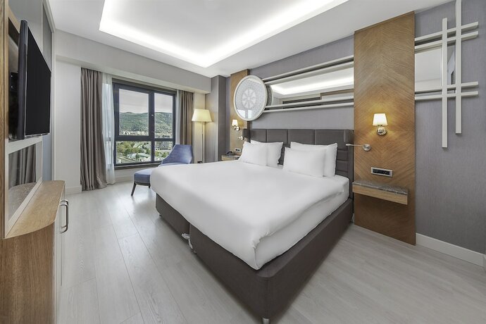 Imagen de la habitación del Hotel Dedeman Tokat. Foto 16