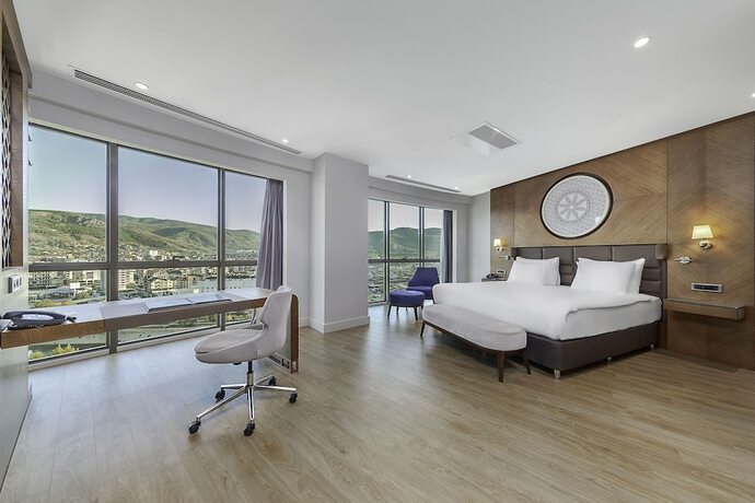 Imagen de la habitación del Hotel Dedeman Tokat. Foto 19