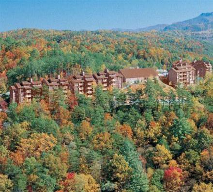 Imagen general del Hotel Deer Ridge Mountain Resort. Foto 1