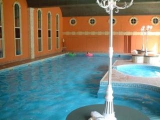 Imagen de la piscina del Hotel Deerpark Hotel Golf & Spa. Foto 3