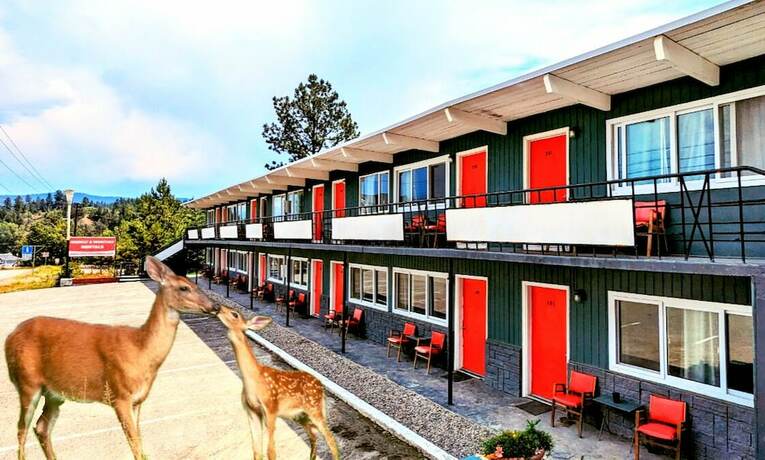 Imagen general del Hotel Deerview Lodge and Cabins - Princeton BC. Foto 4