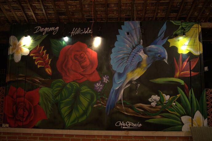 Imagen general del Hotel Degung Hillside. Foto 3