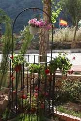 Imagen de los exteriores del Hotel Dehesilla. Foto 4