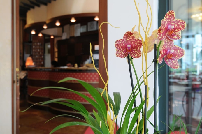 Imagen de los interiores del Hotel Dei Platani. Foto 15