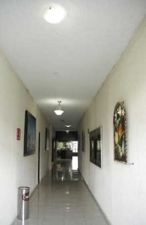 Imagen de los interiores del Hotel Del Alba. Foto 18