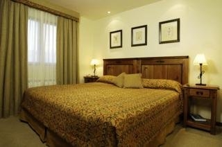 Imagen de la habitación del Hotel Del Bosque Apart. Foto 5