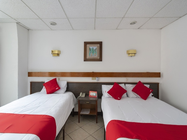 Imagen de la habitación del Hotel Del Paseo. Foto 10
