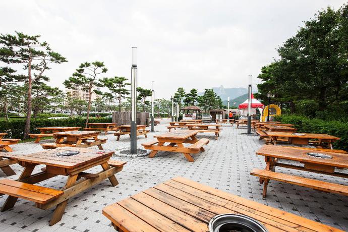 Imagen del bar/restaurante del Hotel Del Pino Golf and Resort. Foto 4