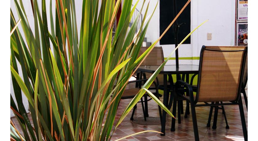 Imagen de los exteriores del Hotel Del Refugio. Foto 7